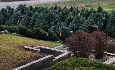 precut lot