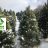 Visit the Fisher Tree Farm and Tree Lot